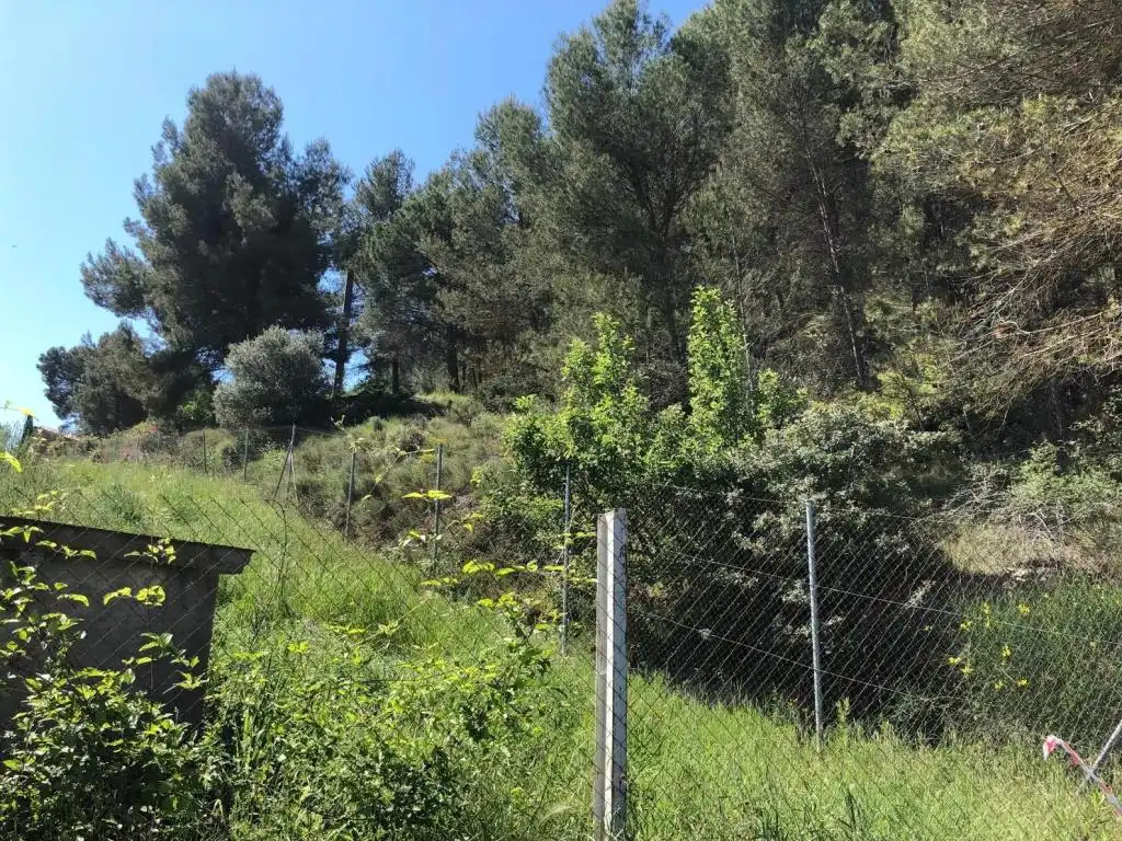 Rural land for sale in SANTA MARGARIDA, imagen 5