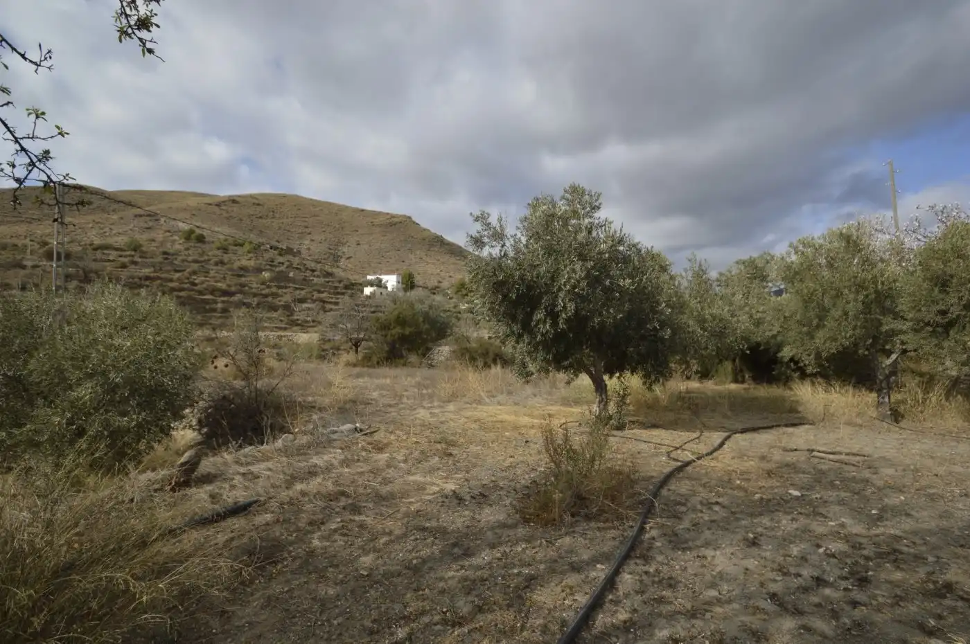 Finca rústica en venta en Gérgal