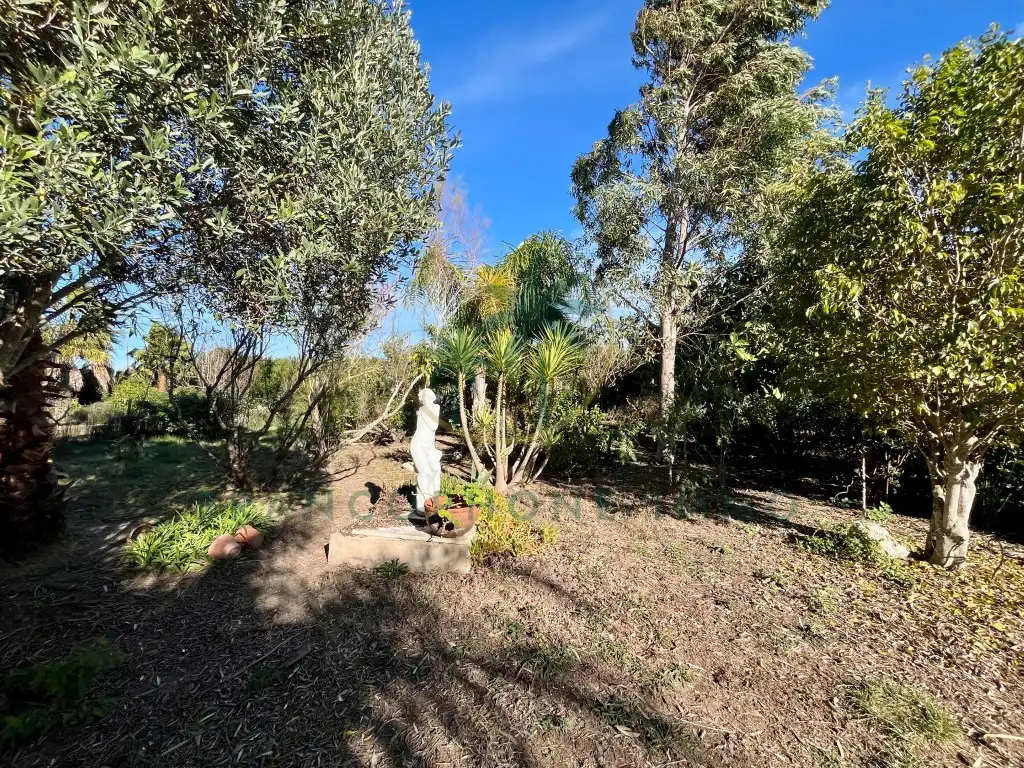 Garden of Houses for sale in Cullera