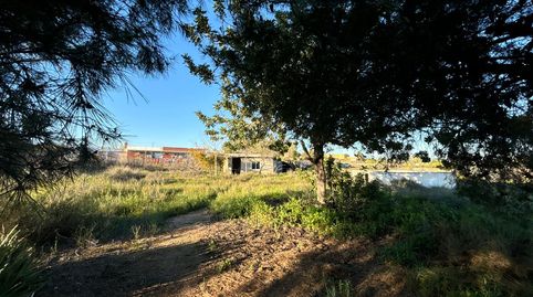 Foto 3 de Finca rústica en venta en La Huerta, Mutxamel