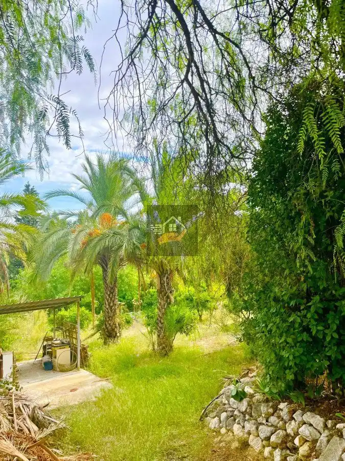 Casa o chalet en venta en Molina de Segura con Terraza