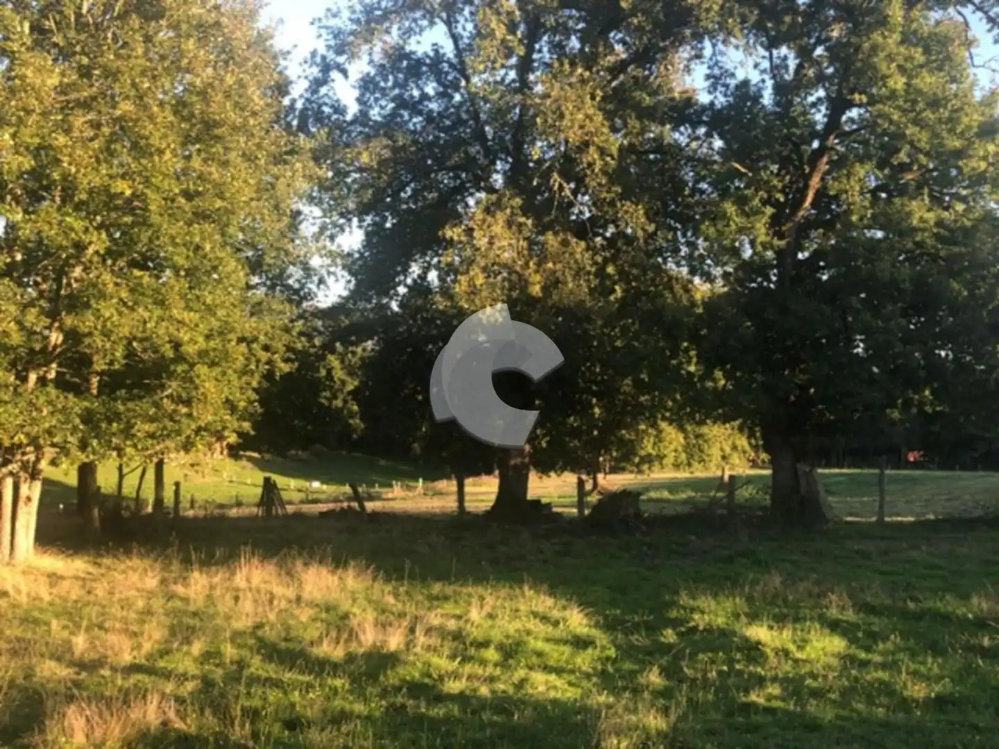 Terreni e lotti in vendita a Nogueira de Ramuín, imagen 23
