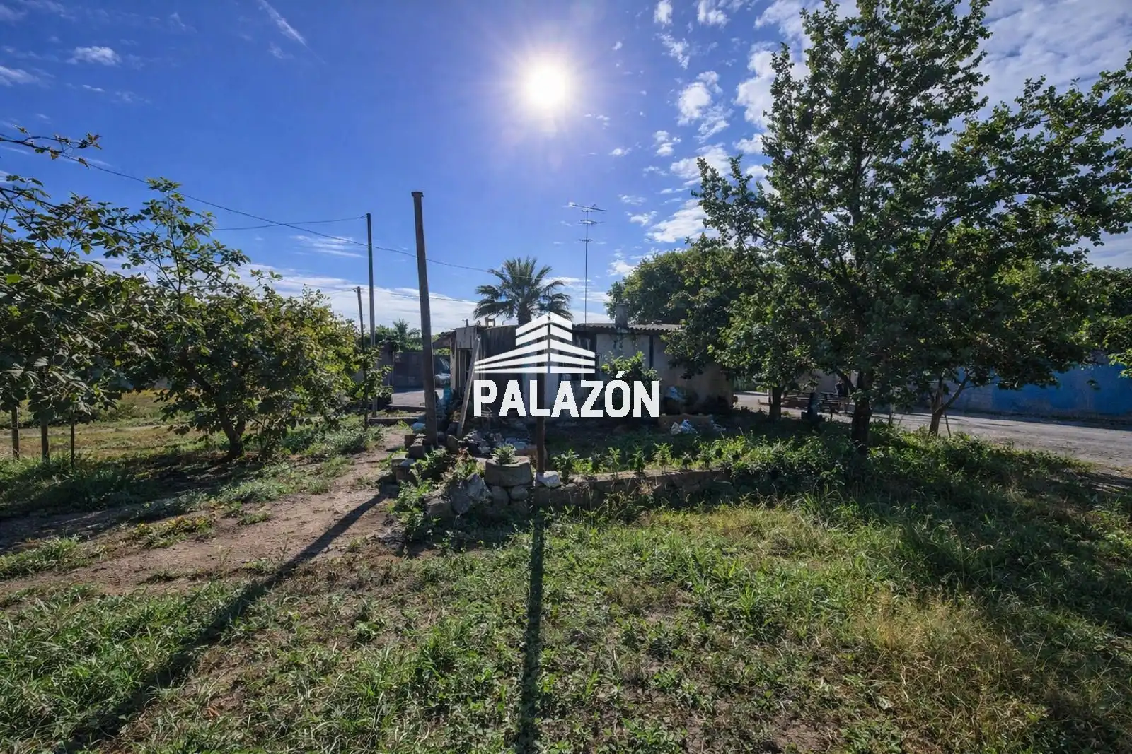 Maison rustique à vendre à Crevillent, imagen 5