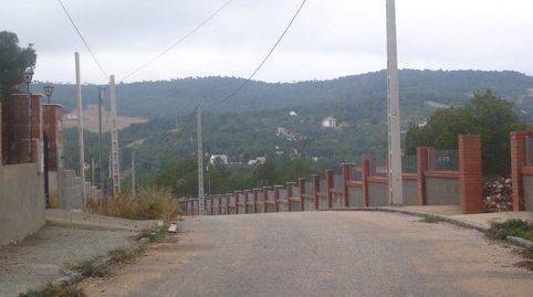 QuerolTerreno, immagine 5
