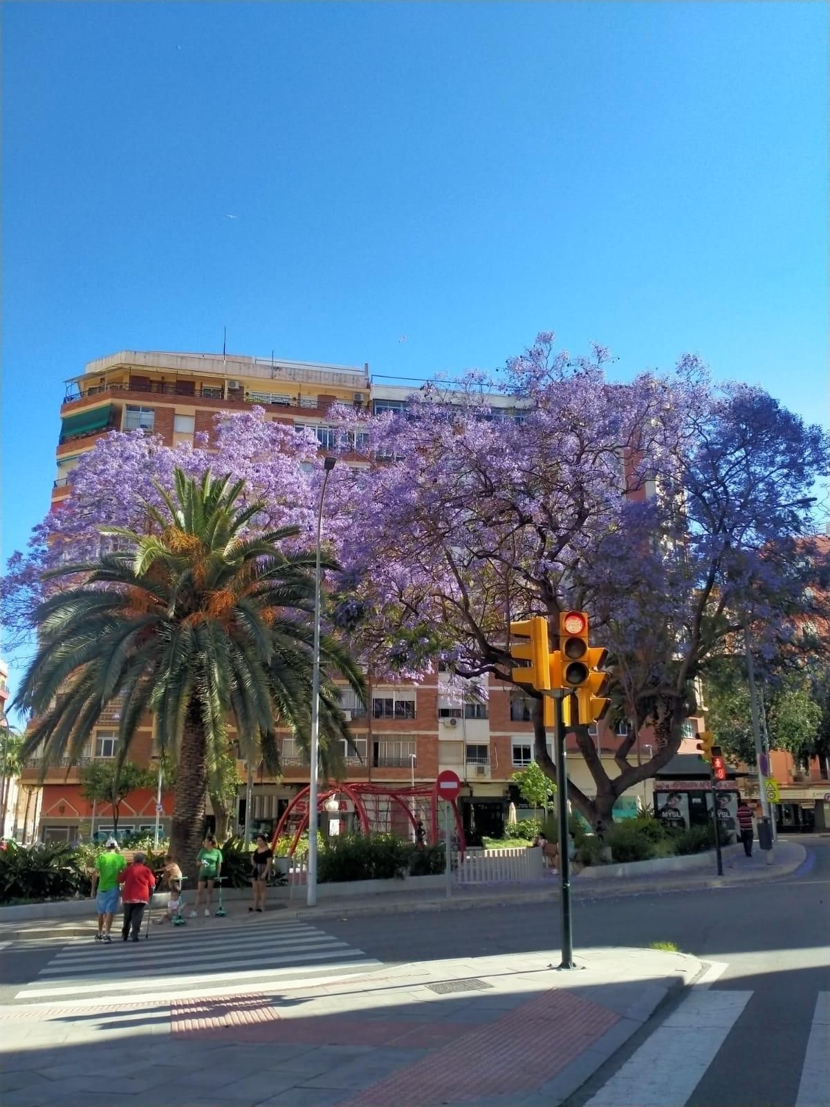 Exterior view of Flat for sale in Málaga Capital  with Terrace and Balcony