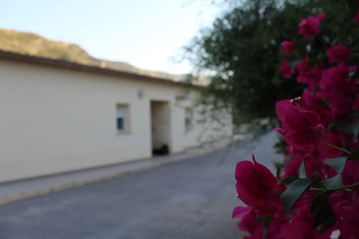 Villa mit Pool zum Verkauf in Carrer Riu Girona 46, imagen 25
