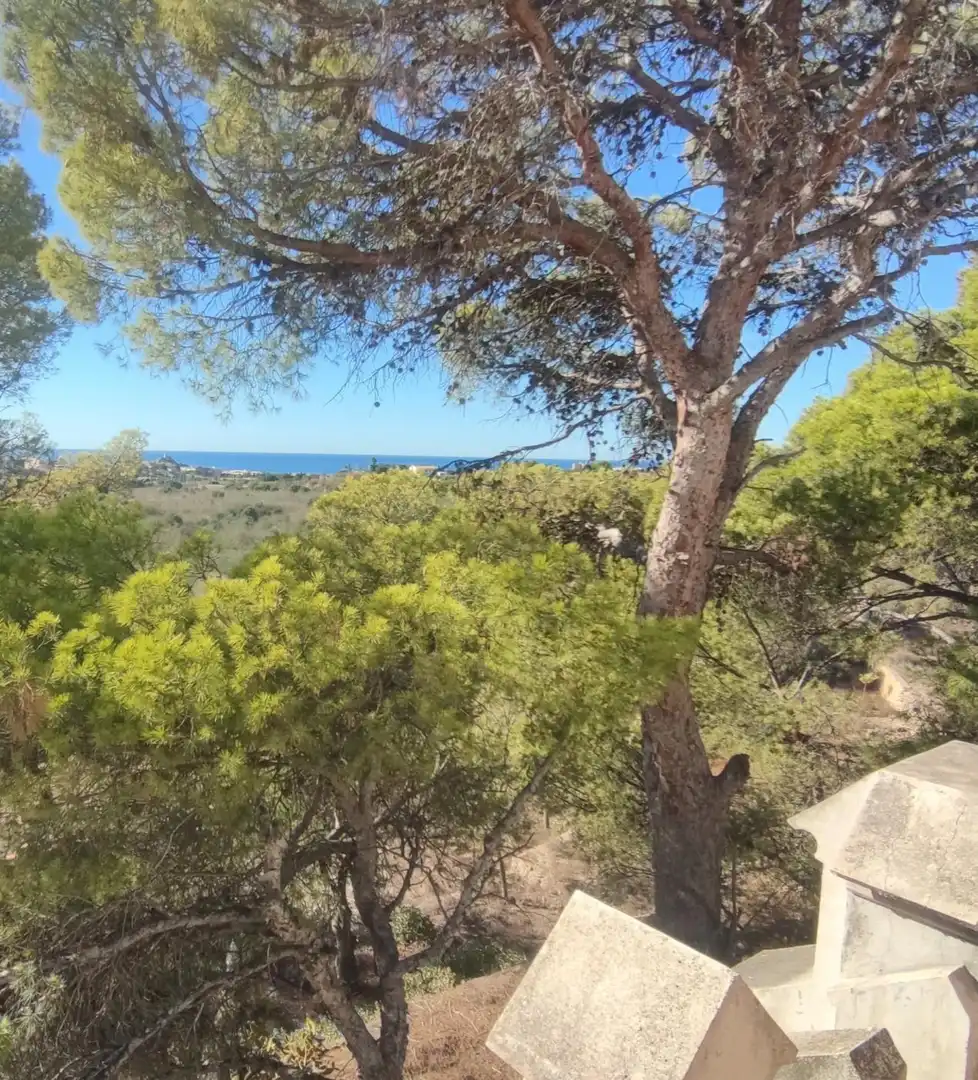 Finca rústica en venda en Villajoyosa / La Vila Joiosa amb Terrassa i Balcó