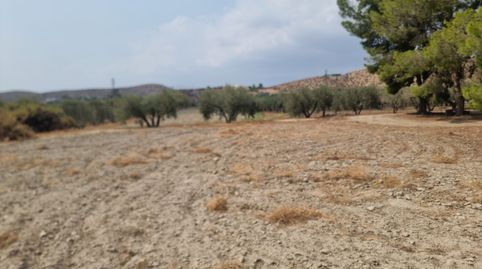 SOLAR INDUSTRIAL EN BENAHADUX