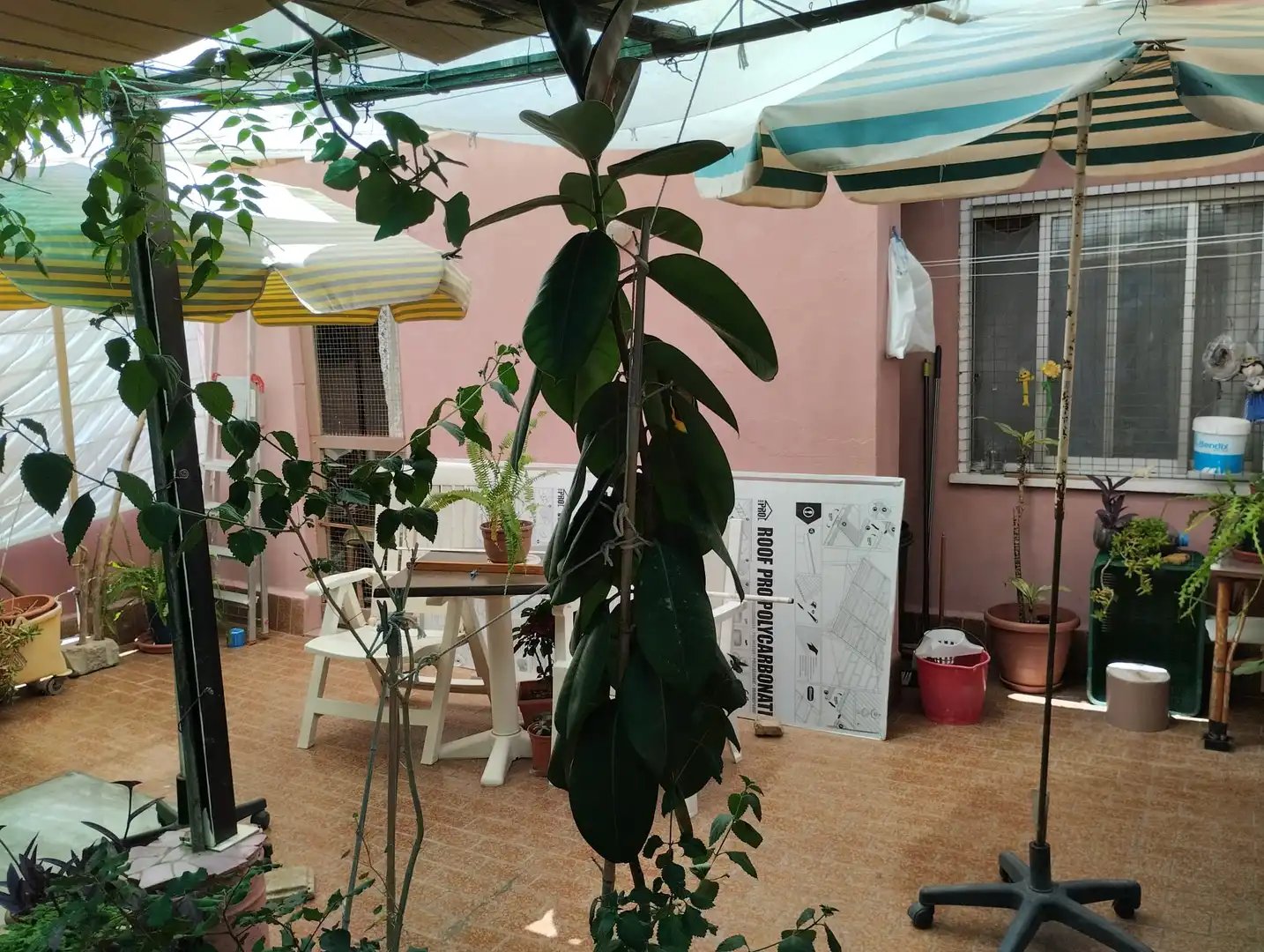 Wohnung zum Verkauf in EUSEBI ESTADA, imagen 2