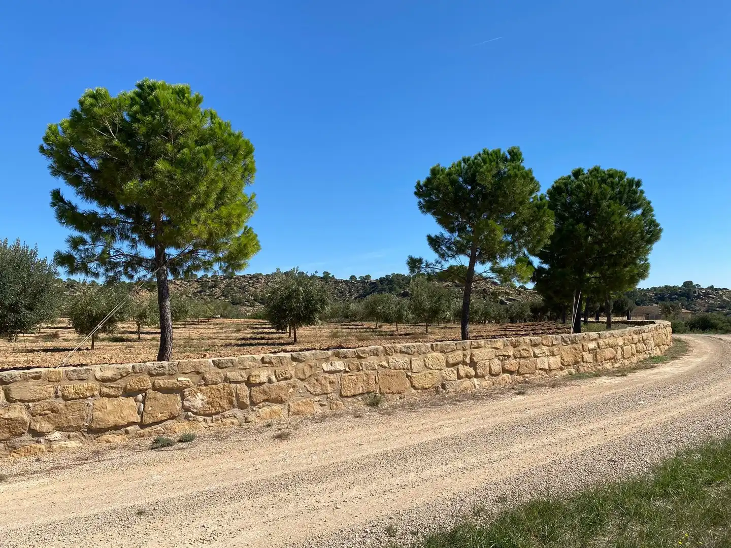 Casa o chalet en venta en Alcañiz con Terraza