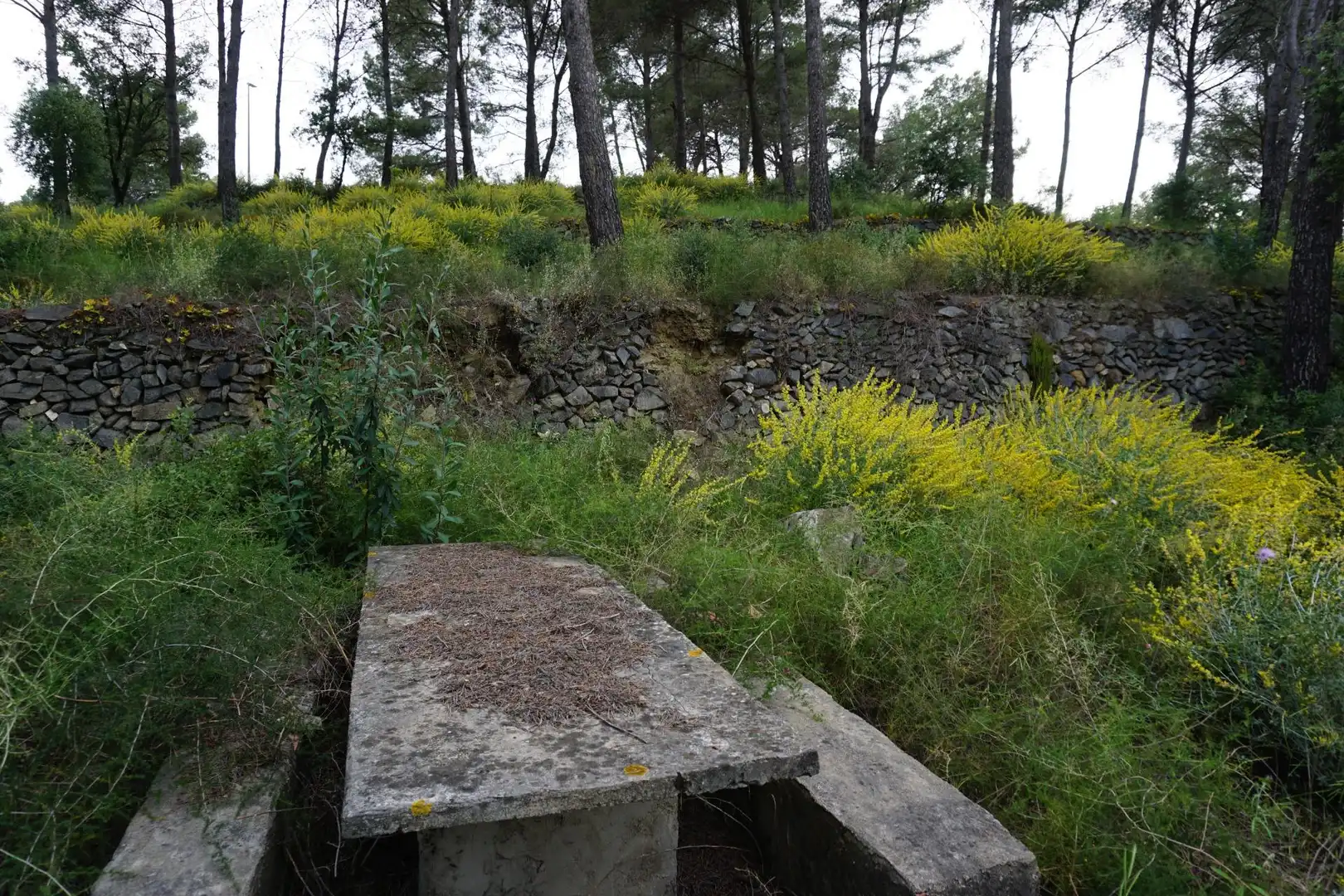 Terreno residenziale in vendita a Calle Ferreteries