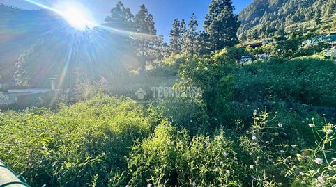 Foto 2 von Grundstücke zum Verkauf in Candelaria - Playa La Viuda, Candelaria