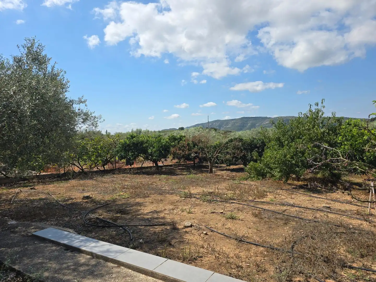 Finca rústica en venta en Freginals con Jardín privado