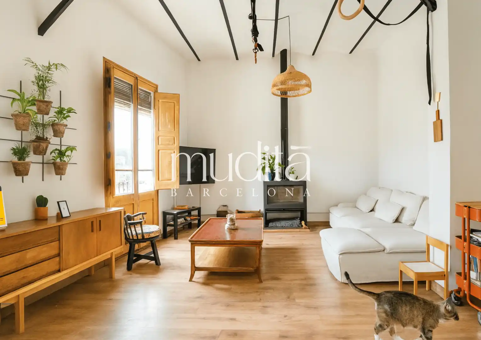 Sala d'estar de Apartament en venda en Sant Quirze de Besora amb Forn i Balcó