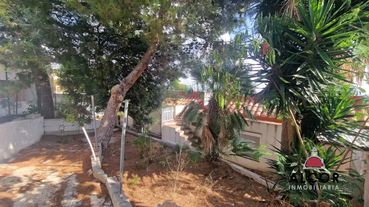 Villa avec jardin à vendre à CARABELA, imagen 9