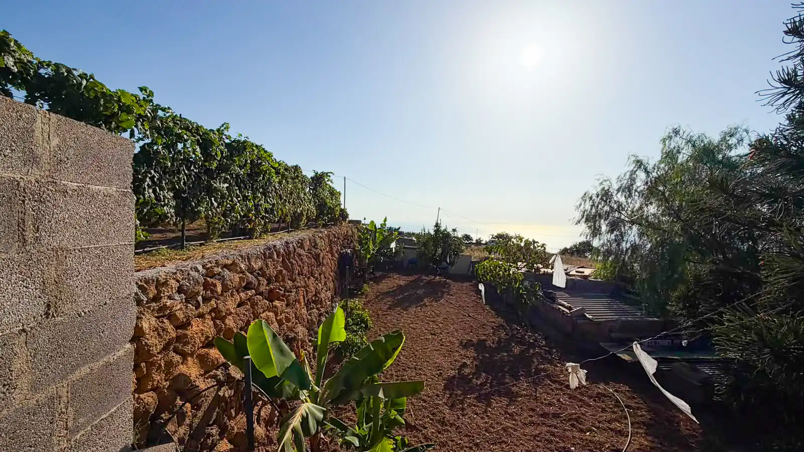 Rural land for sale in Arafo, imagen 14