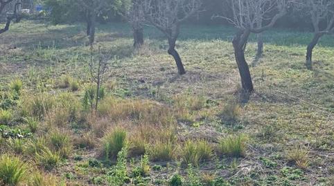 Foto 5 de Finca rústica en venda a Jesús - Els Reguers, Tortosa