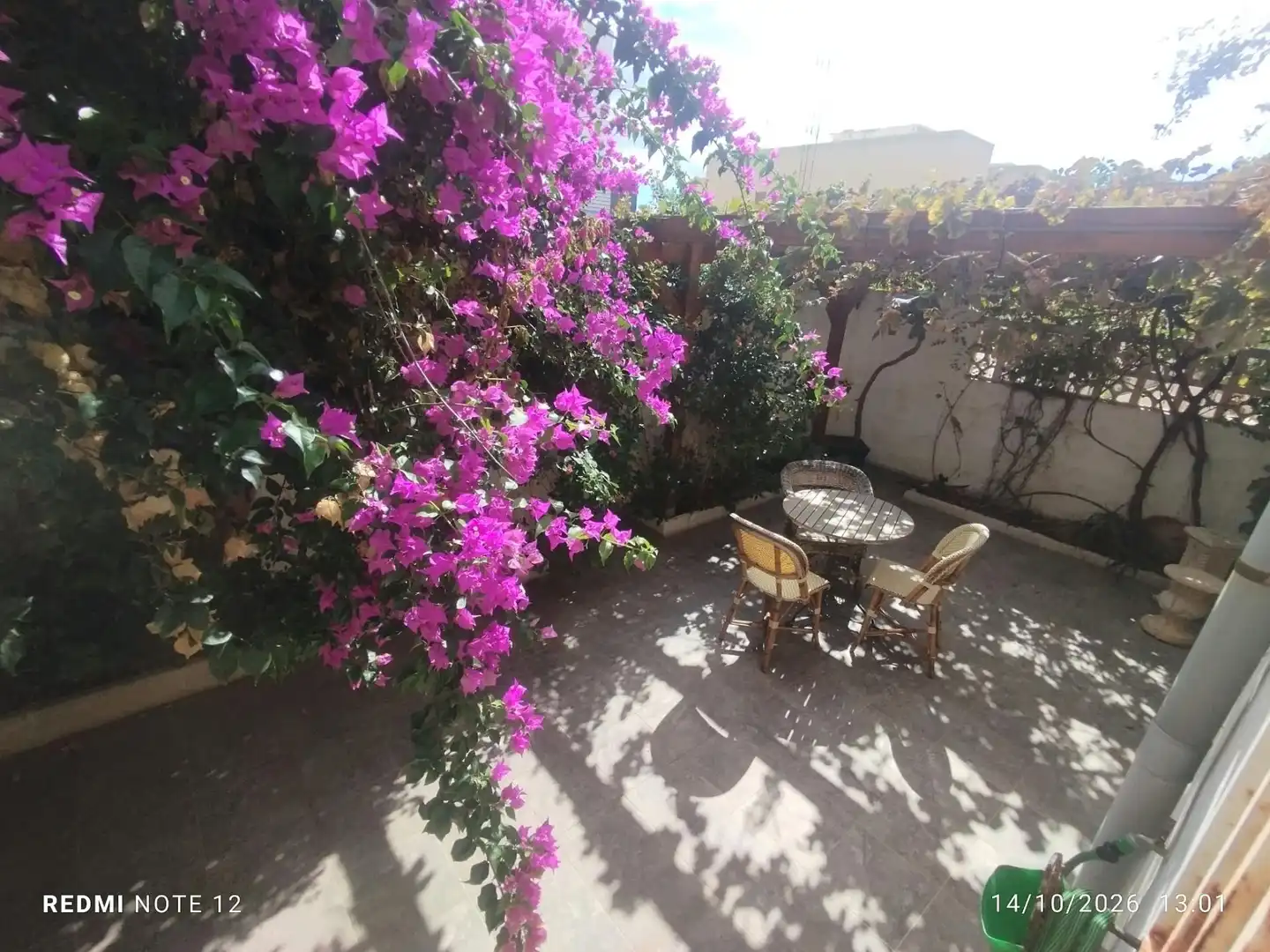 Jardín de Casa adosada en venta en Guardamar Playa