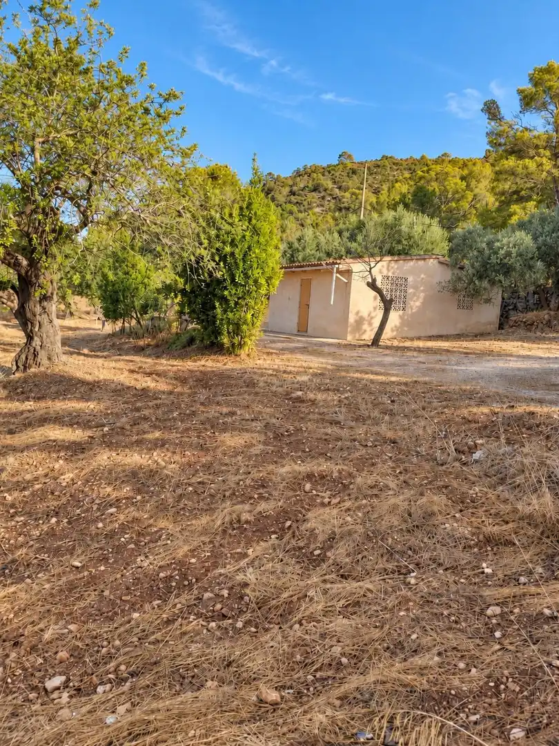 Terreno rústico en venta en Bunyola, imagen 3