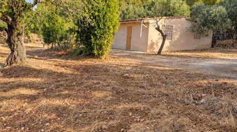 Finca rústica en Bunyola con caseta de aperos y más de 13.000 m2 de terreno, immagine 3