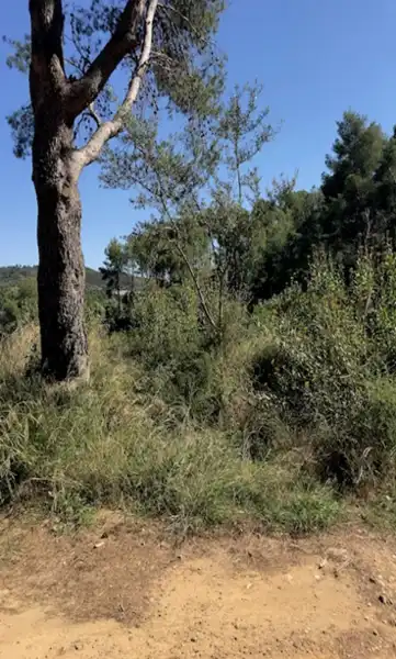 Terreno residenziale in vendita a Vallesa, imagen 11