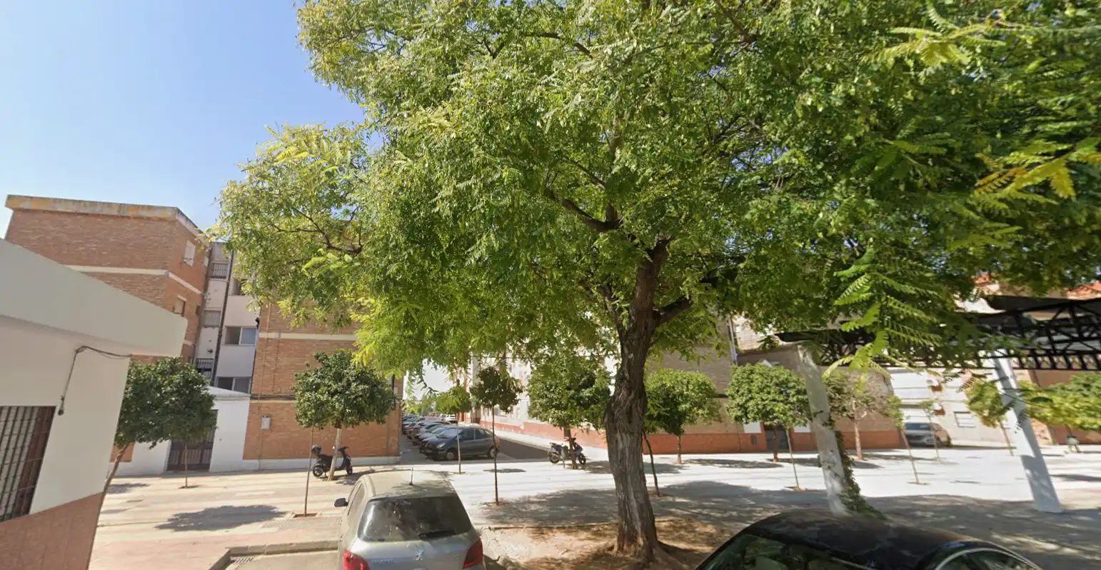 Vista exterior de Pis en venda en Dos Hermanas