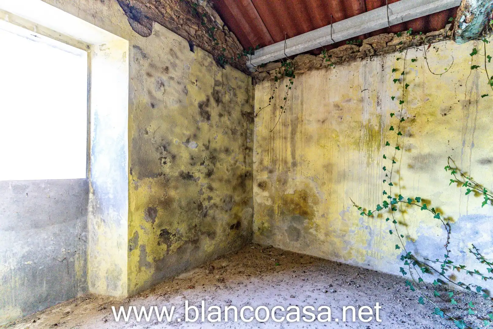 Maison avec jardin à vendre à O Corgo, imagen 36
