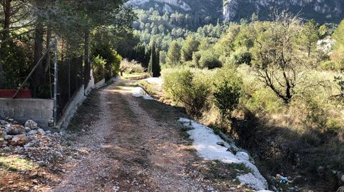 Immagine 1 dell'annuncio