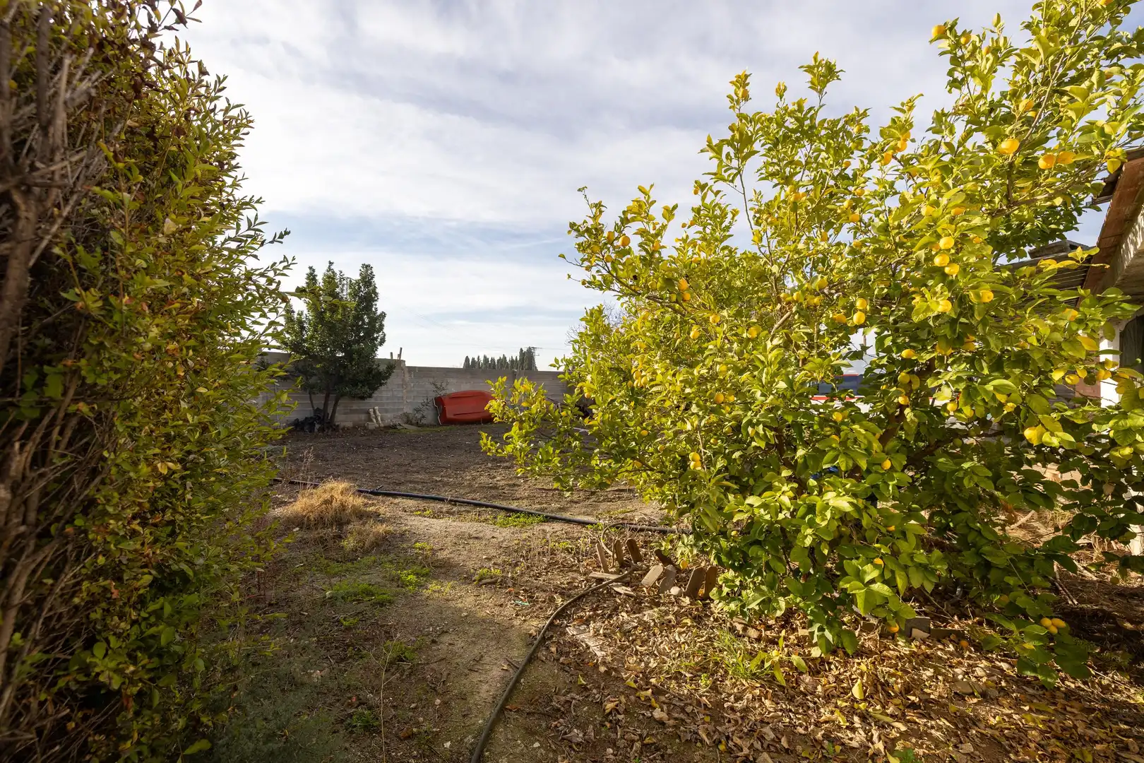 Landhaus mit Pool zum Verkauf in Camino de las Tinajas, imagen 31