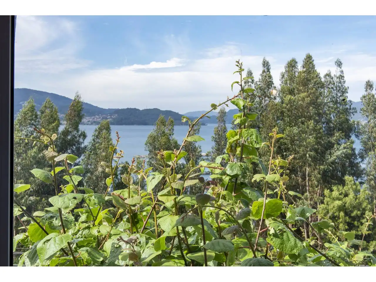 Houses for rent in Redondela