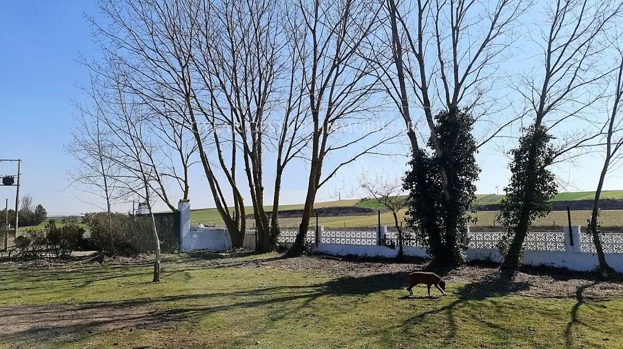 Vista exterior de Casa o chalet en venta en Villares de la Reina con Calefacción, Amueblado y Horno