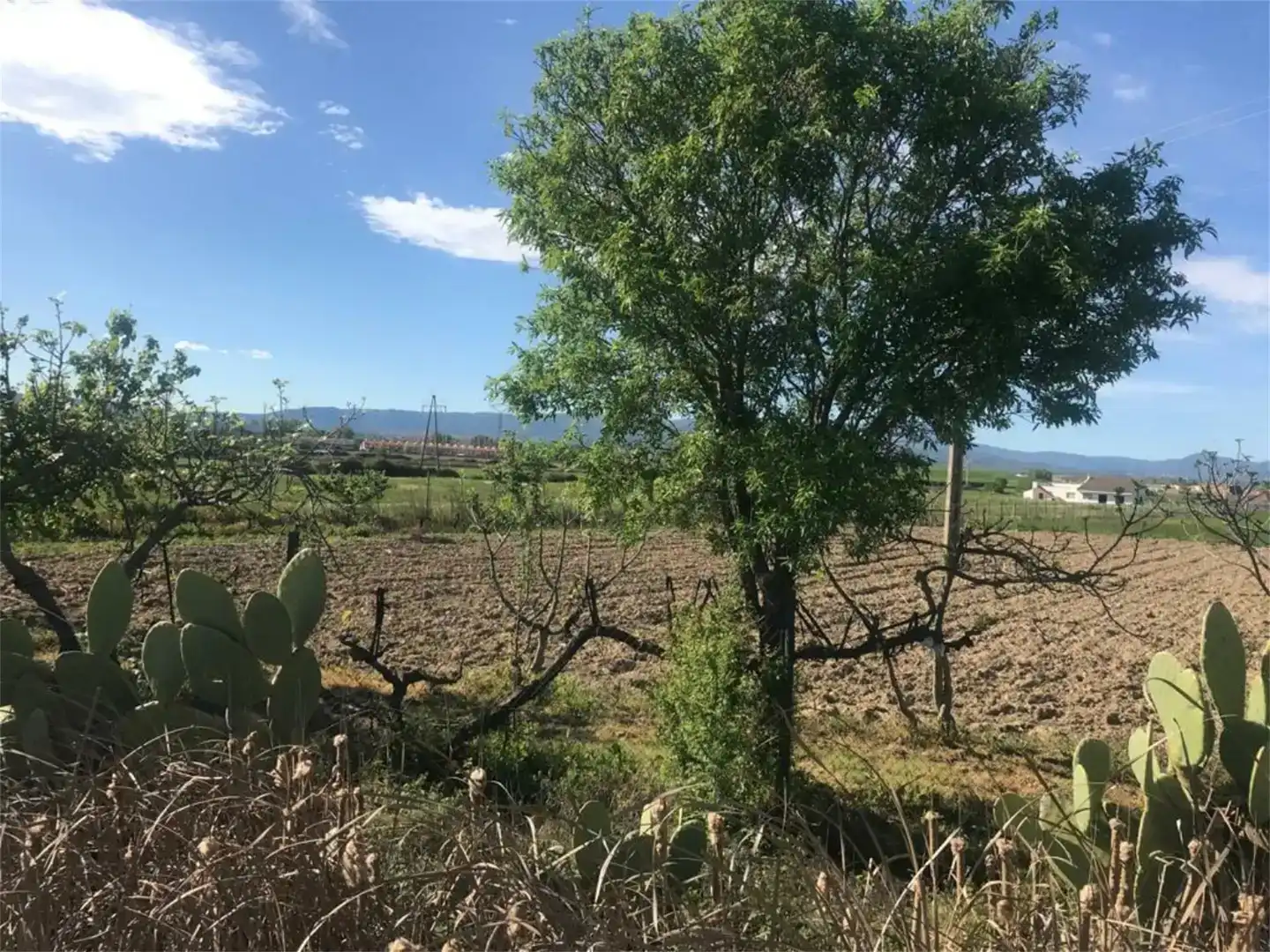 Land for sale in Moraleja