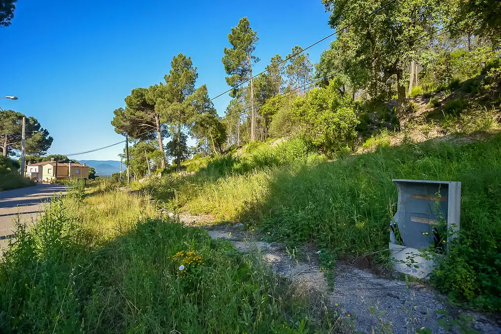 Terreno rústico en venta en Av de la Selva, imagen 21