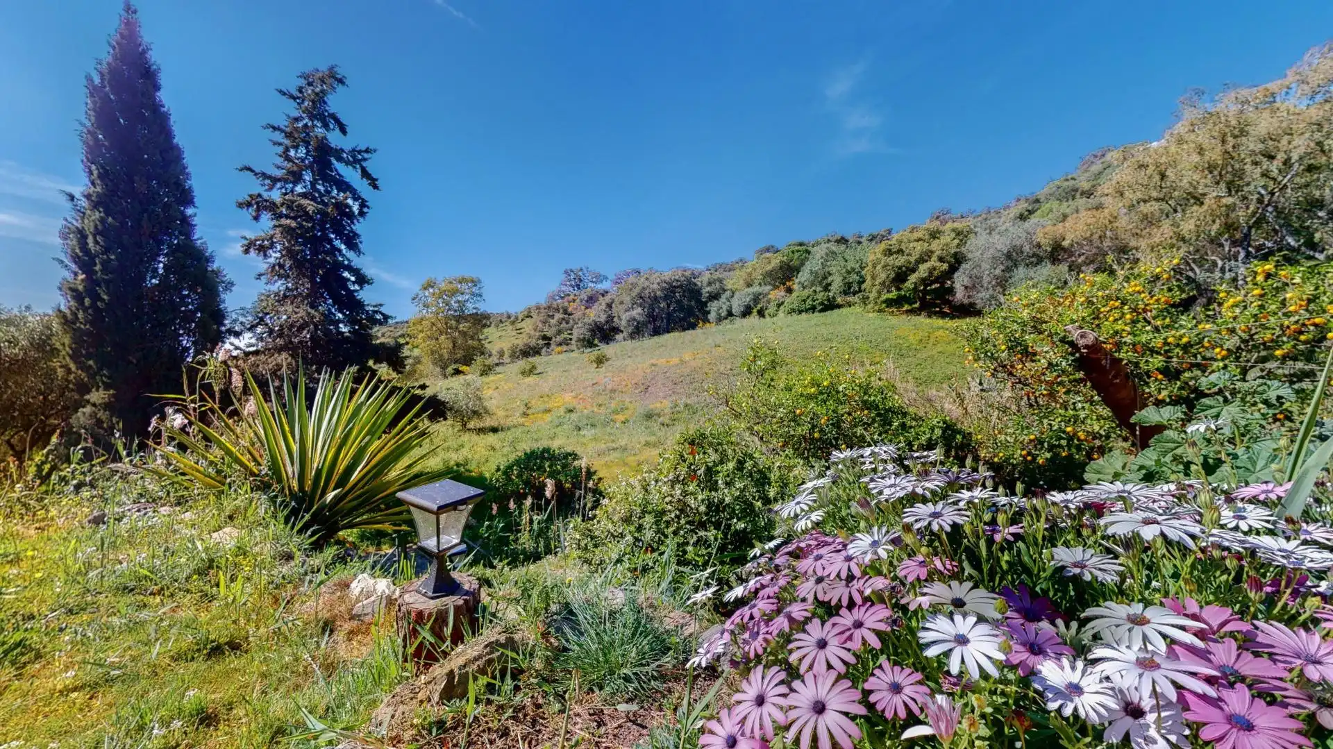 Jardí de Finca rústica en venda en Casares amb Calefacció, Jardí privat i Terrassa