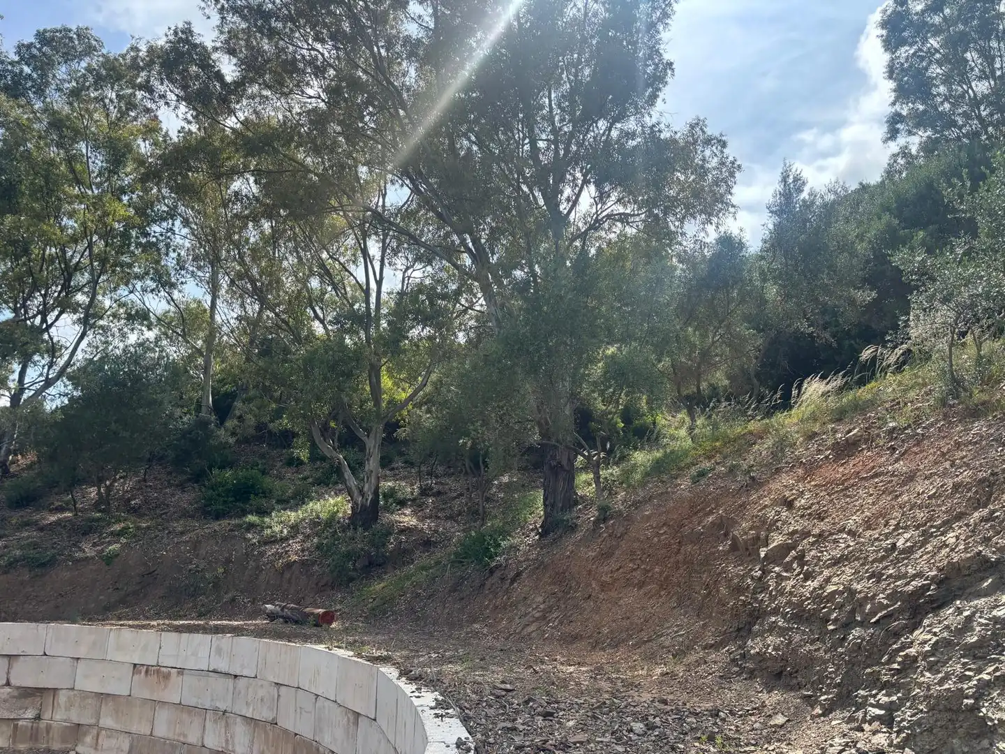 Terreny en venda en Estepona