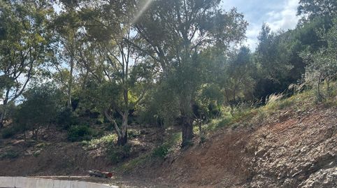 Foto 2 de Terreny en venda a Sierra de Estepona - Avda. de Andalucía, Estepona