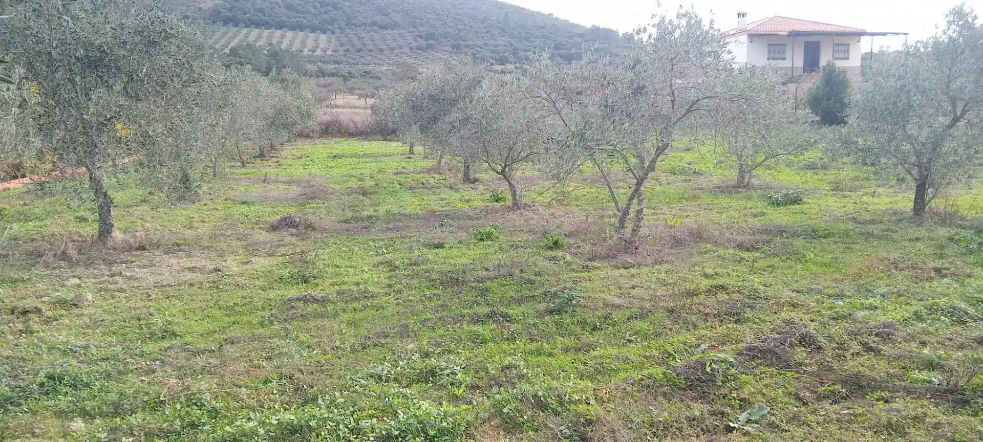 Finca rústica en venda en Alcuéscar amb Piscina