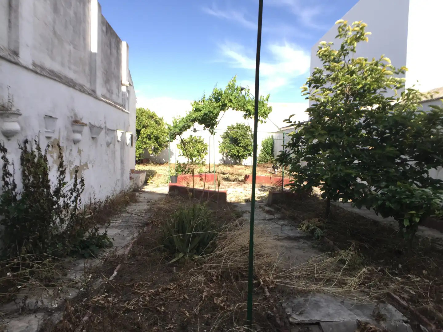 Garten von Gebäude zum Verkauf in Bornos