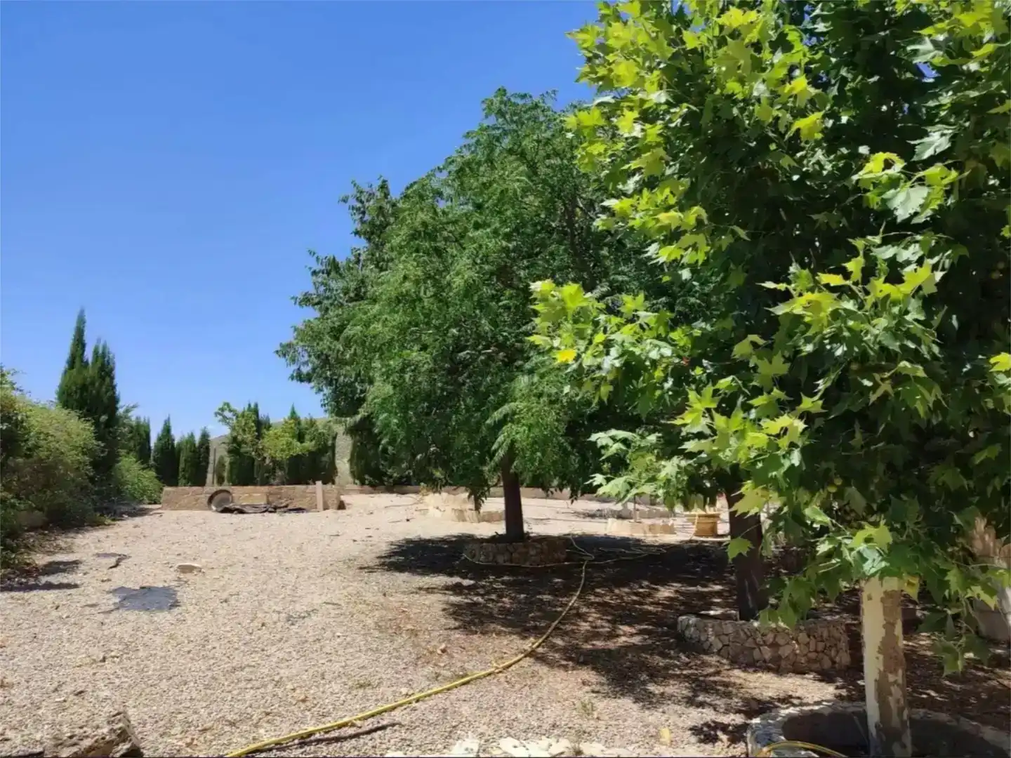 Finca rústica en venda en Elche de la Sierra amb Jardí privat, Traster i Piscina