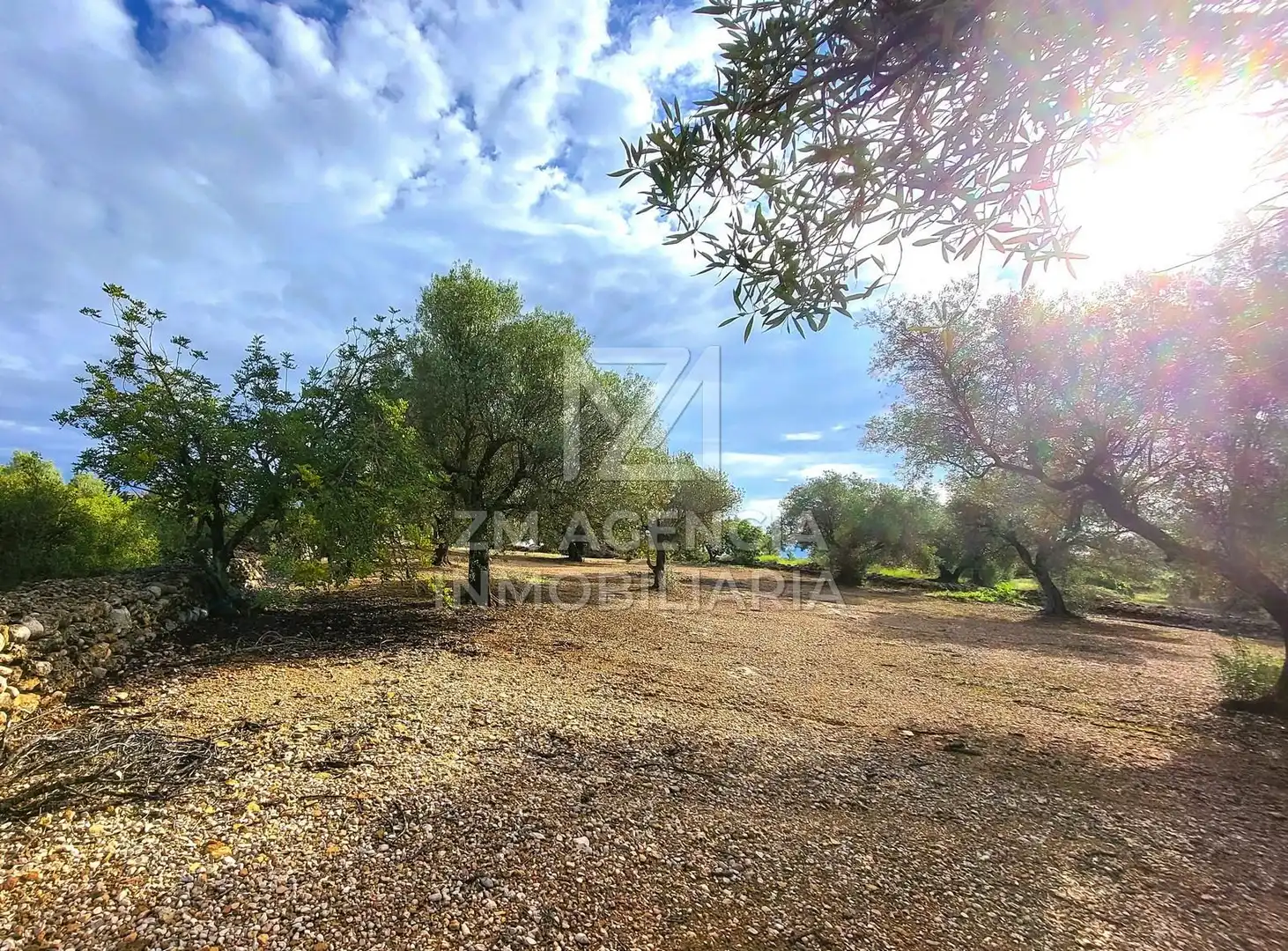 Casa rústica en venta en Traiguera, imagen 3