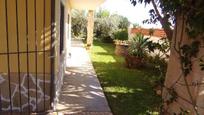 Garden of House or chalet for sale in Benicarló  with Terrace
