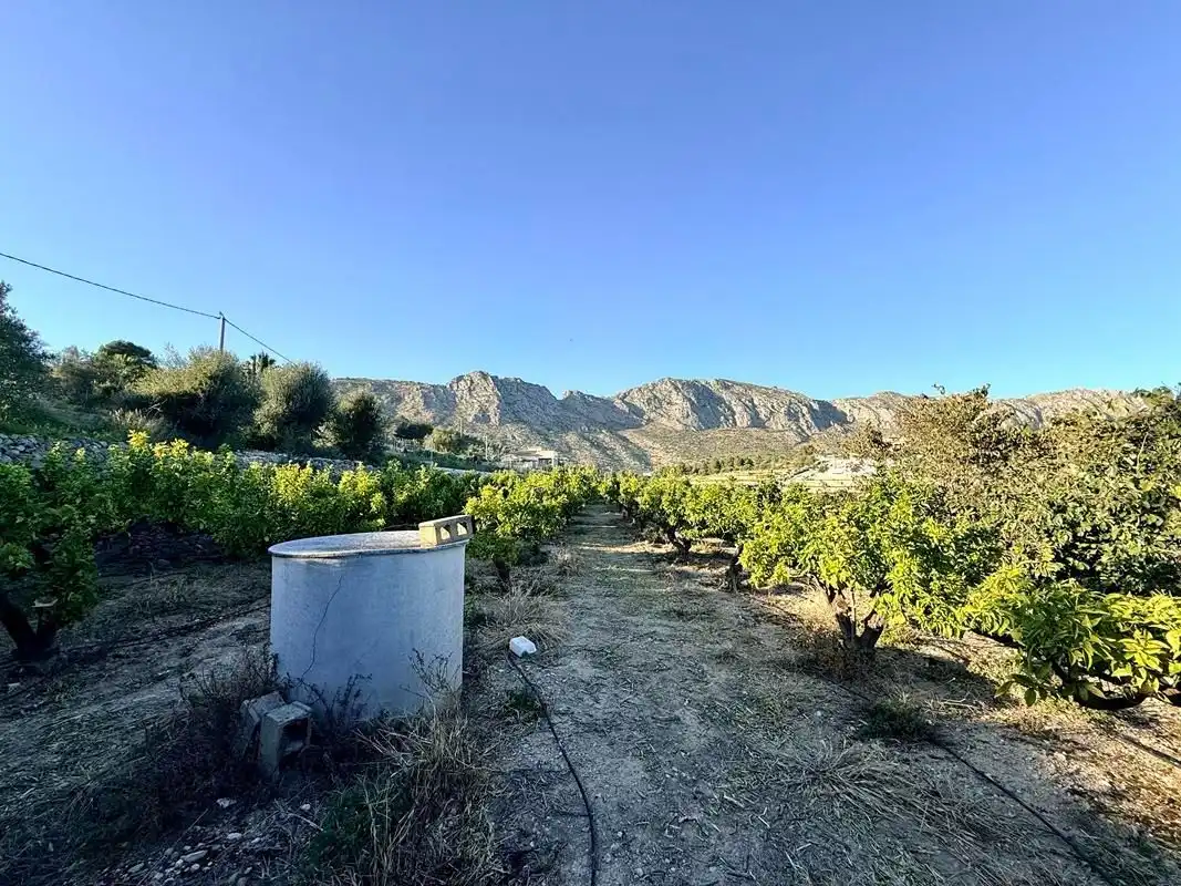 Vista exterior de Finca rústica en venda en Sanet y Negrals amb Calefacció i Jardí privat