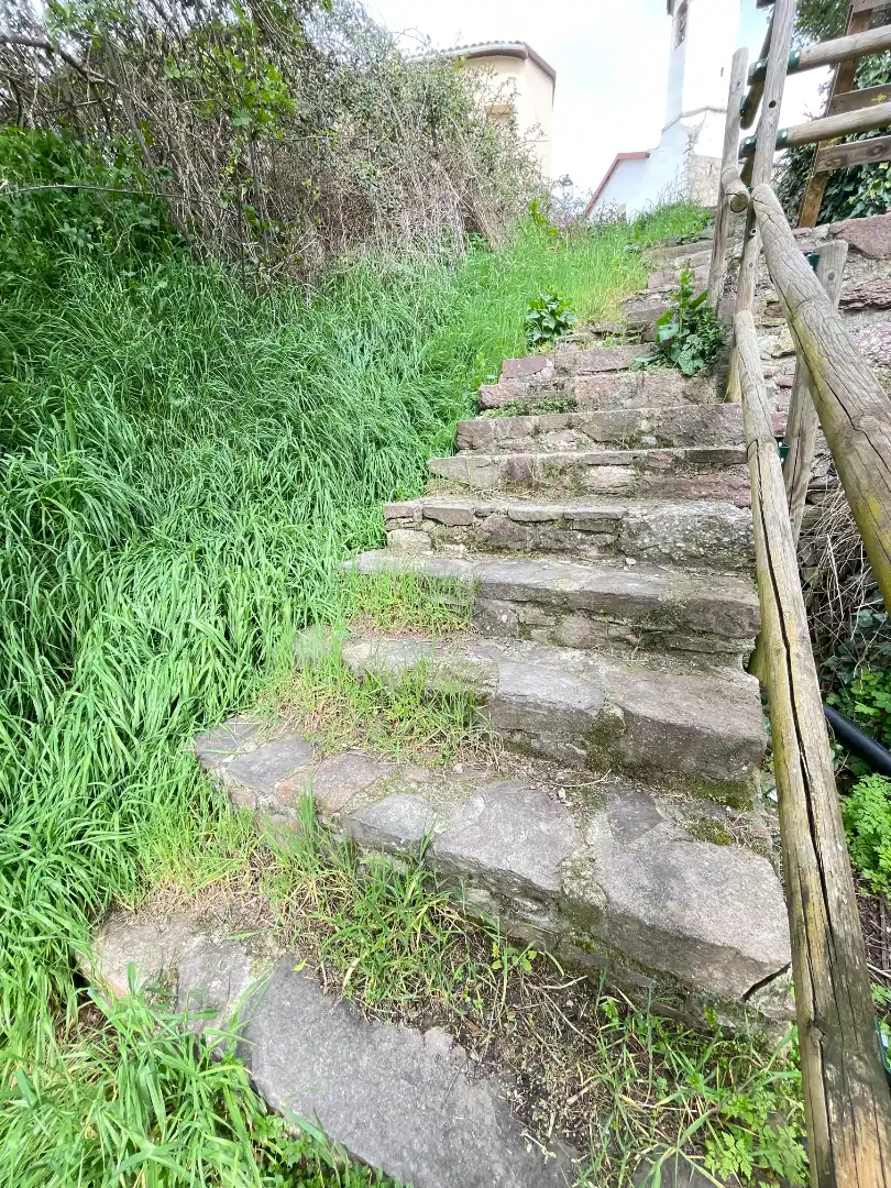 Garden of Residential for sale in Soriguera