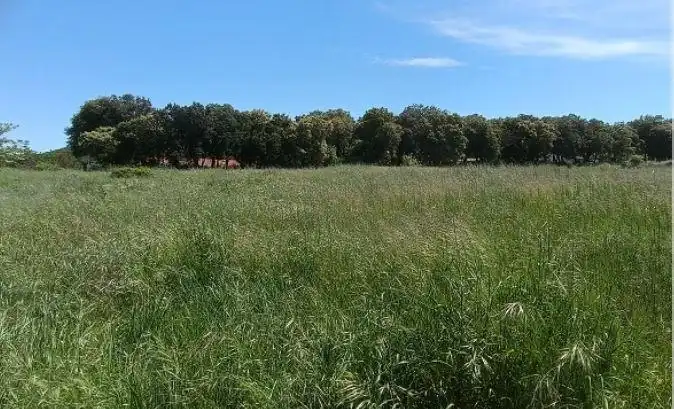 Lands and plots for sale in Igúzquiza, imagen 9