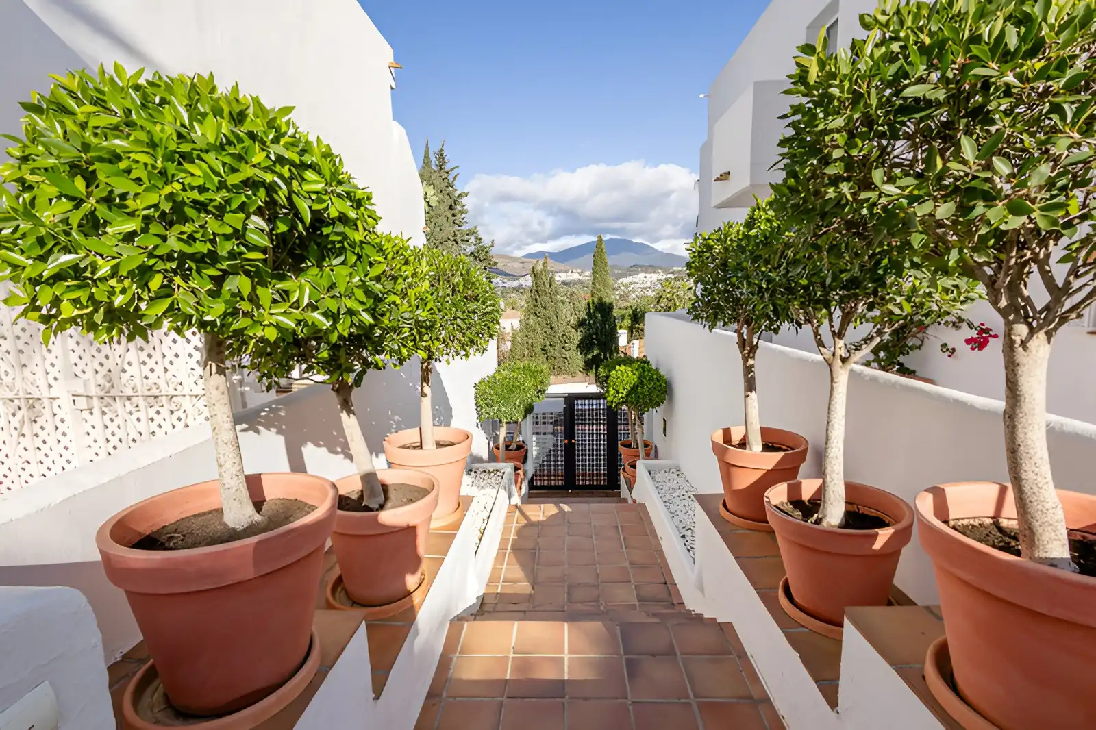 Apartament amb piscina en venda a Nueva Andalucía, imagen 18