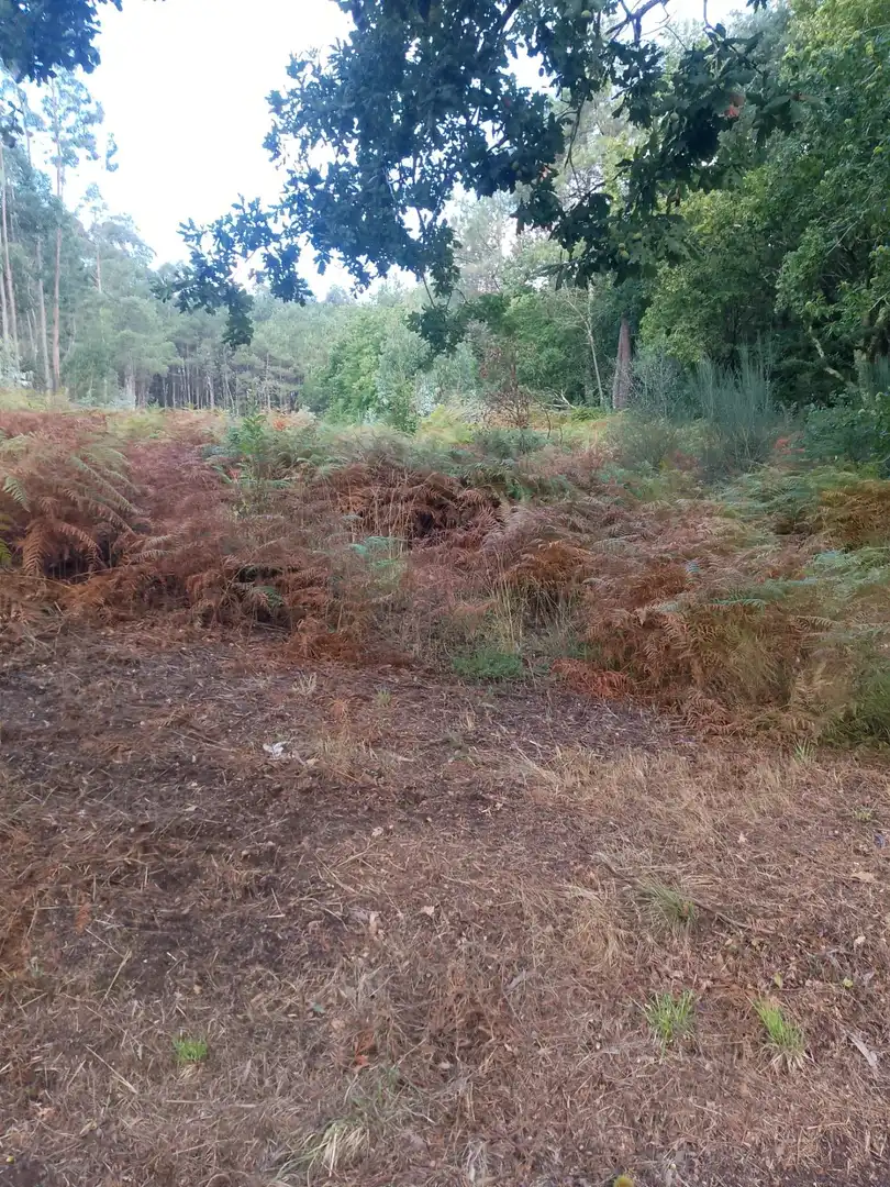 Terreno rustico in vendita a Meis, imagen 8