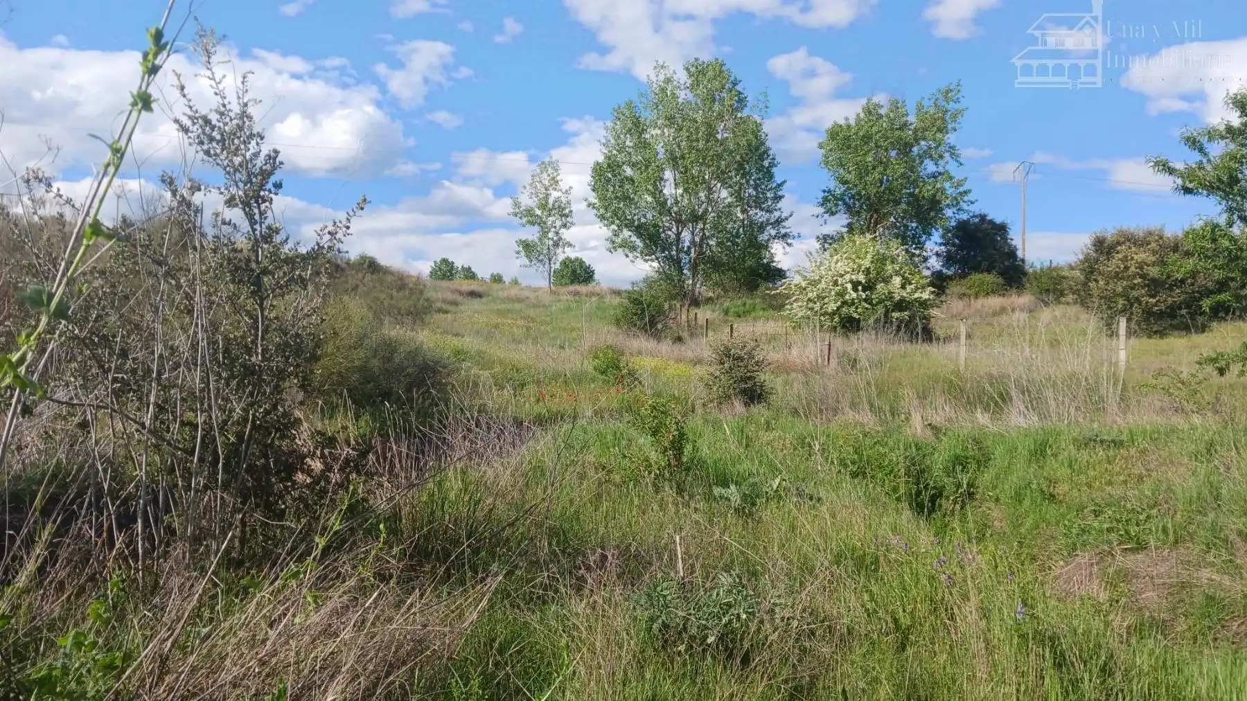 Lands and plots for sale in Valverdón, imagen 13