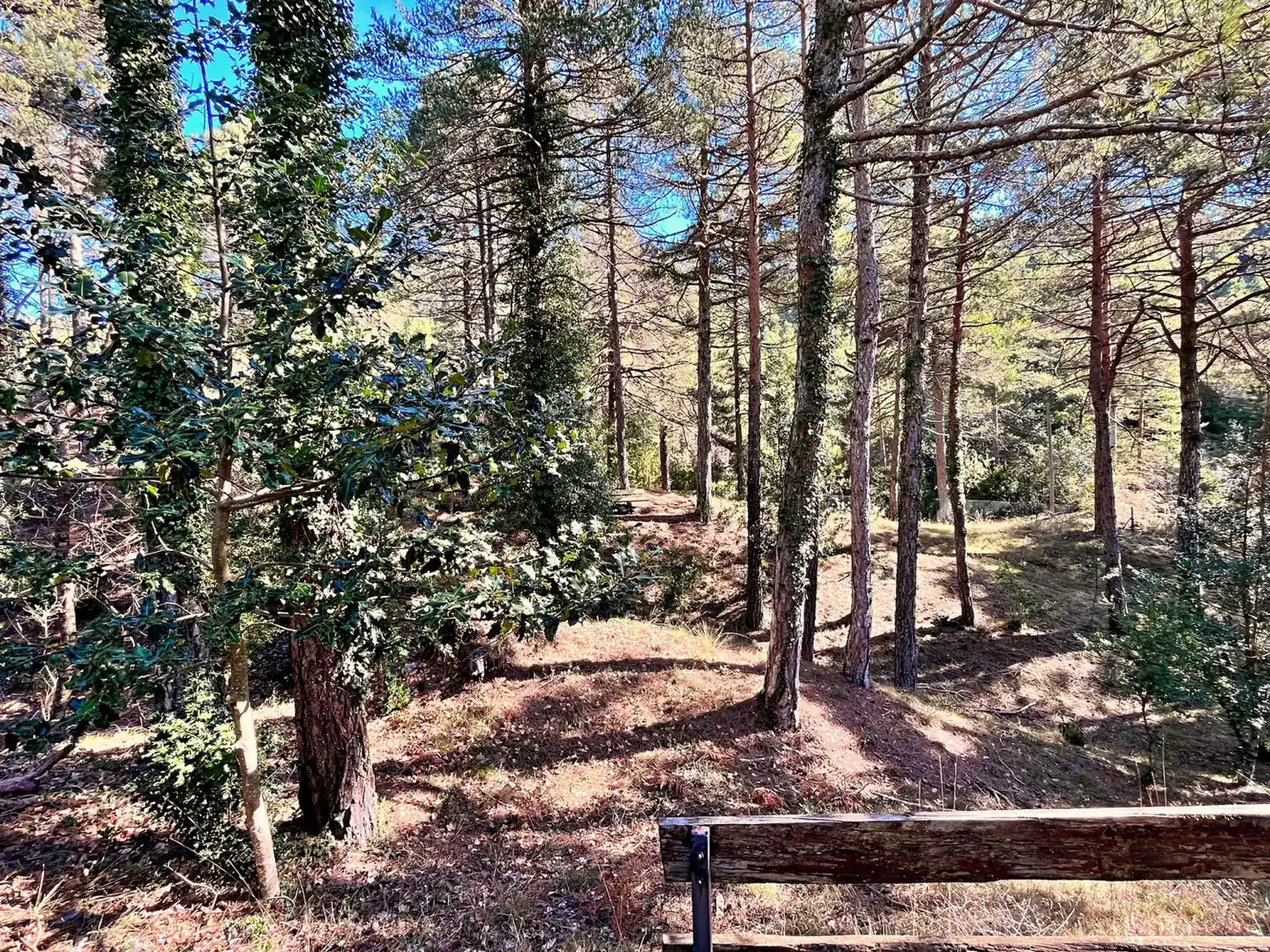 Villa avec terrasse à vendre à Roquetes, imagen 79