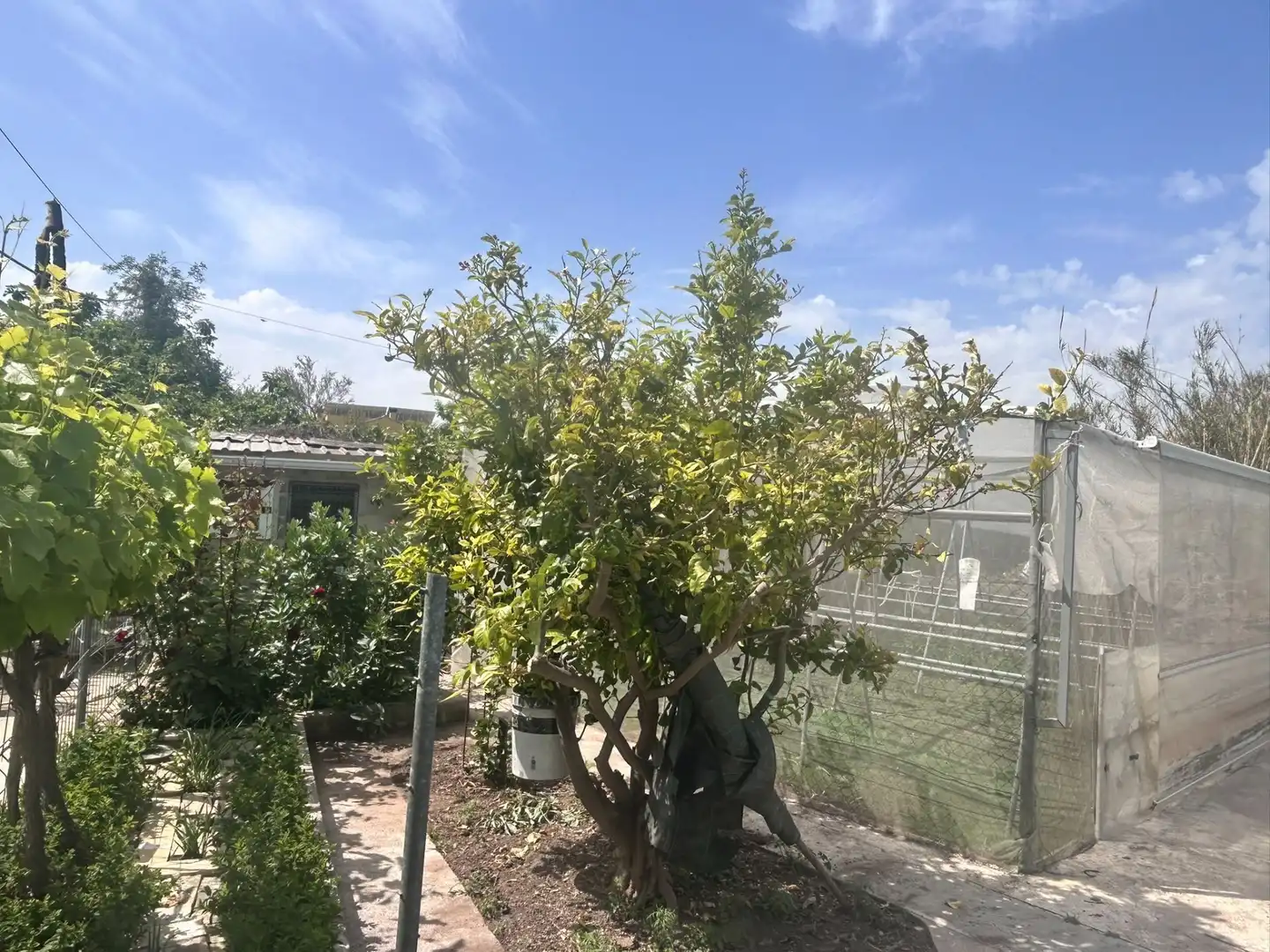 Jardí de Casa o xalet en venda en Sagunto / Sagunt amb Aire condicionat, Calefacció i Jardí privat