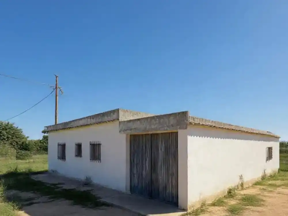 Vista exterior de Finca rústica en venta en Conil de la Frontera con Jardín privado, Terraza y Trastero